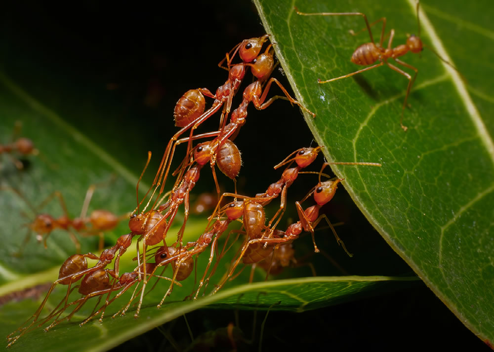 Nature Best Photography Awards 2023 Winners