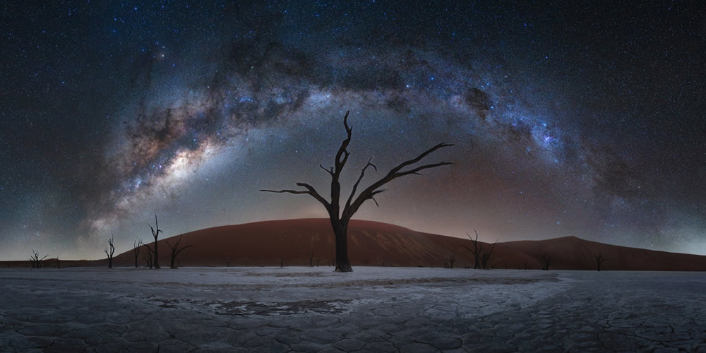 Epson International Pano Awards 2023 Winners