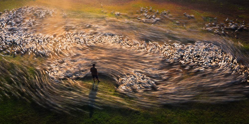 Epson International Pano Awards 2023 Winners