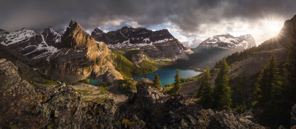 Epson International Pano Awards 2023 Winners