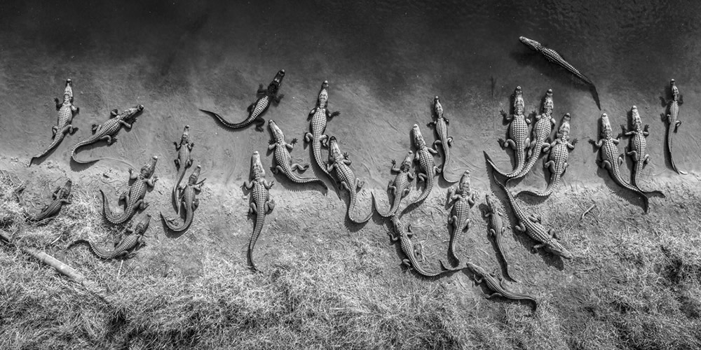 Epson International Pano Awards 2023 Winners