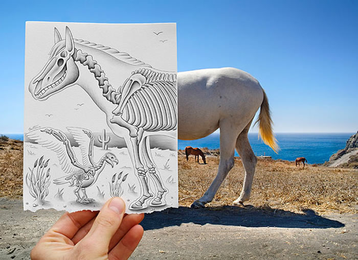 Pencil Illustrations With Photography by Ben Heine