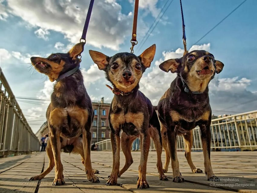 Russian Daily Life Street Photography By Alexander Petrosyan