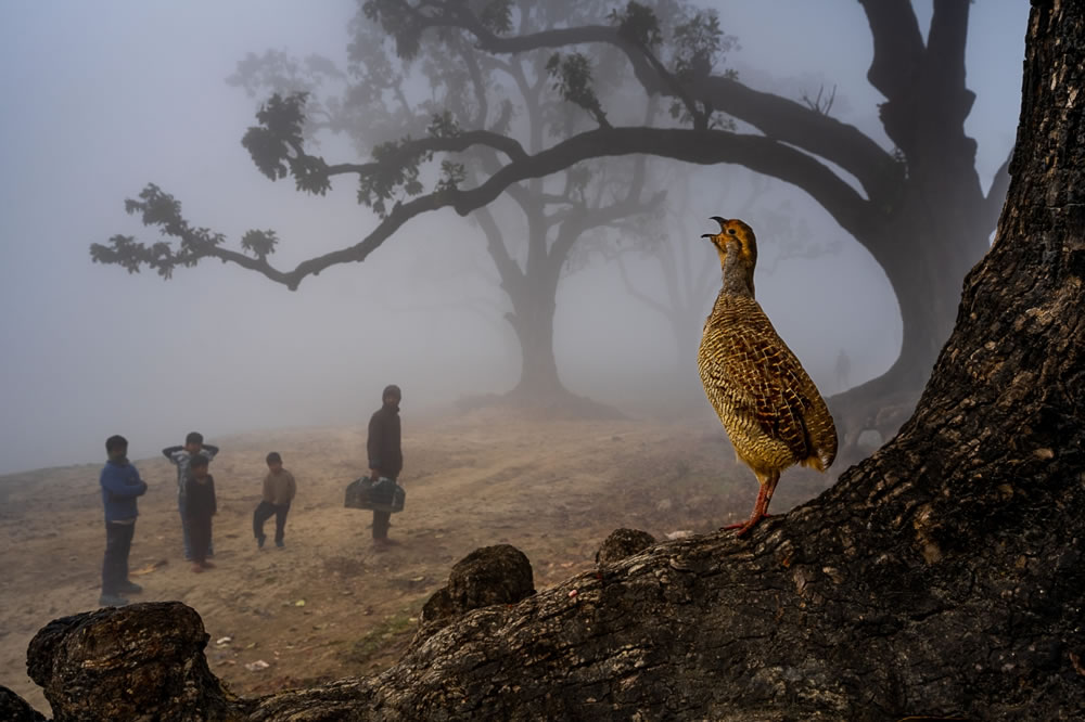 Siena International Photo Awards Winners2023