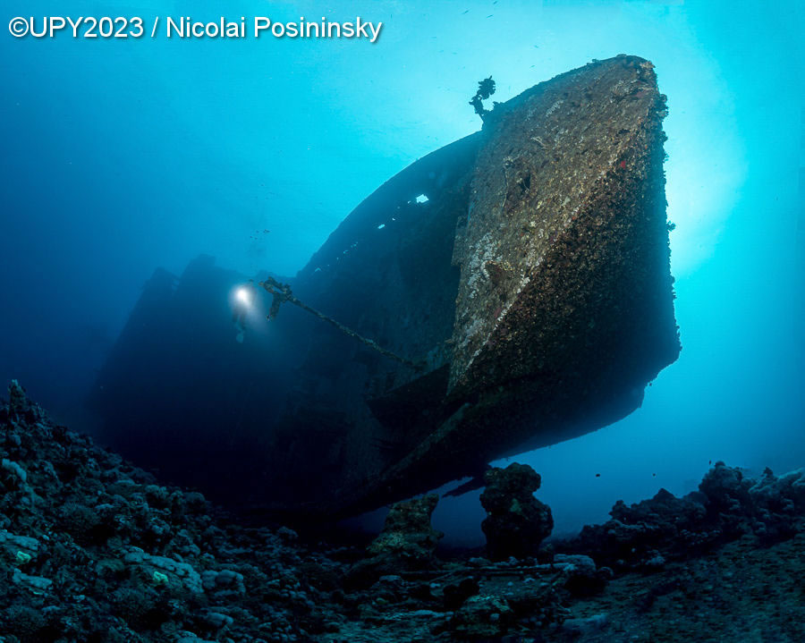 Underwater Photographer Of The Year 2023 Winners