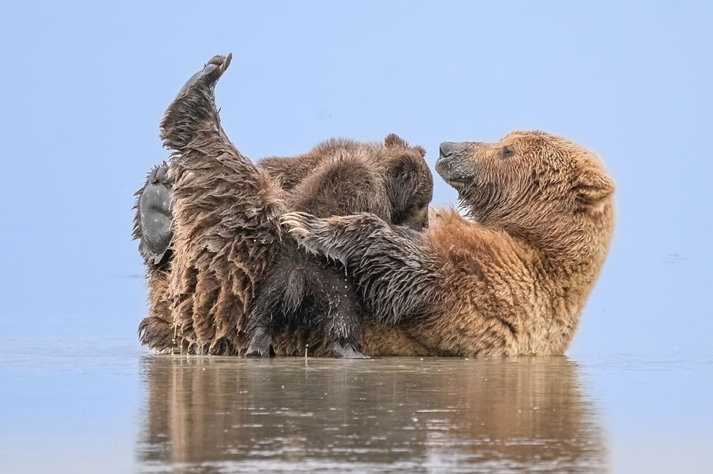 North American Nature Photography Association Awards