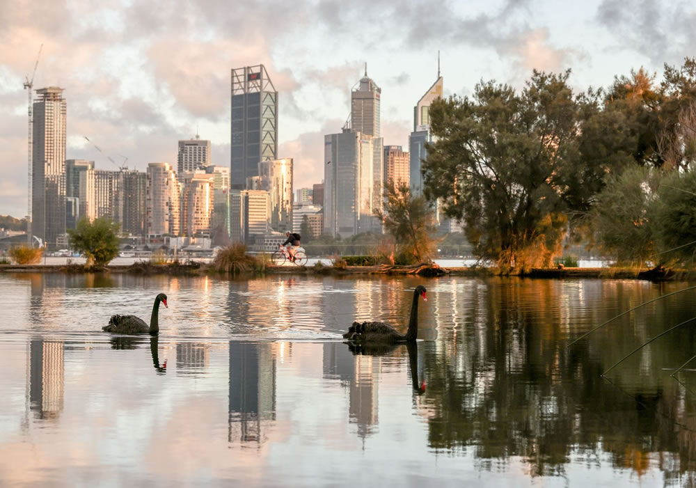 Birdlife Australia Photography Awards 2023 Winners