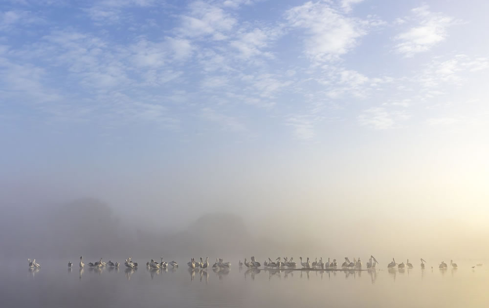 Birdlife Australia Photography Awards 2023 Winners