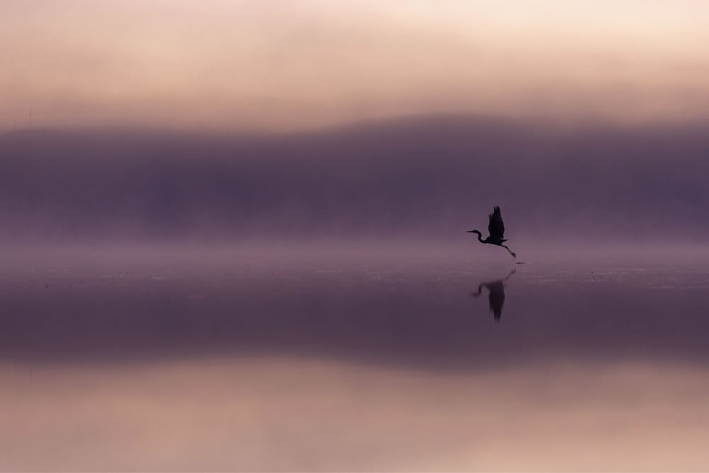 Birdlife Australia Photography Awards 2023 Winners