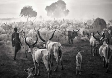 Daily Life Of Africa by Mario Gerth