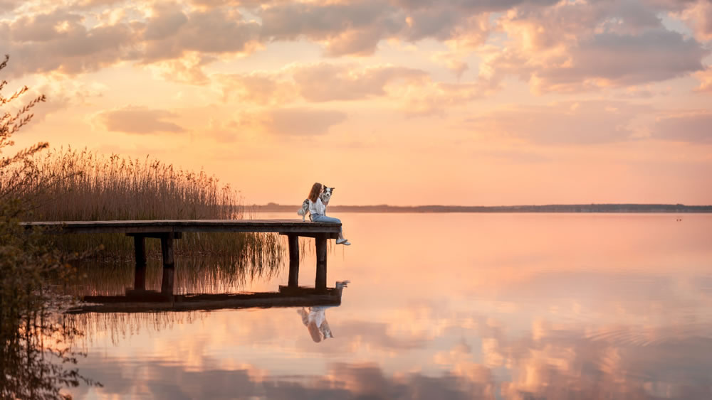 Dog Photographer of The Year 2023 Winners