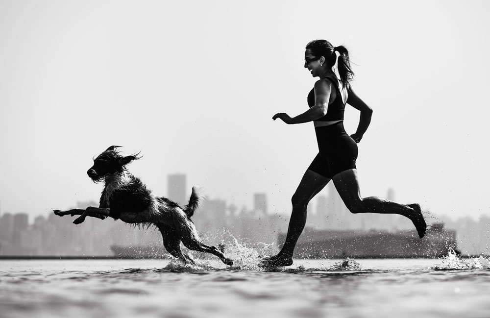 Dog Photographer of The Year 2023 Winners