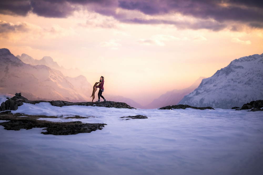 Dog Photographer of The Year 2023 Winners