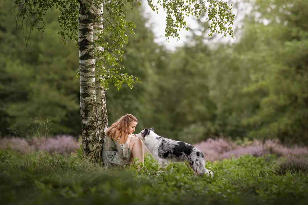 Dog Photographer of The Year 2023 Winners