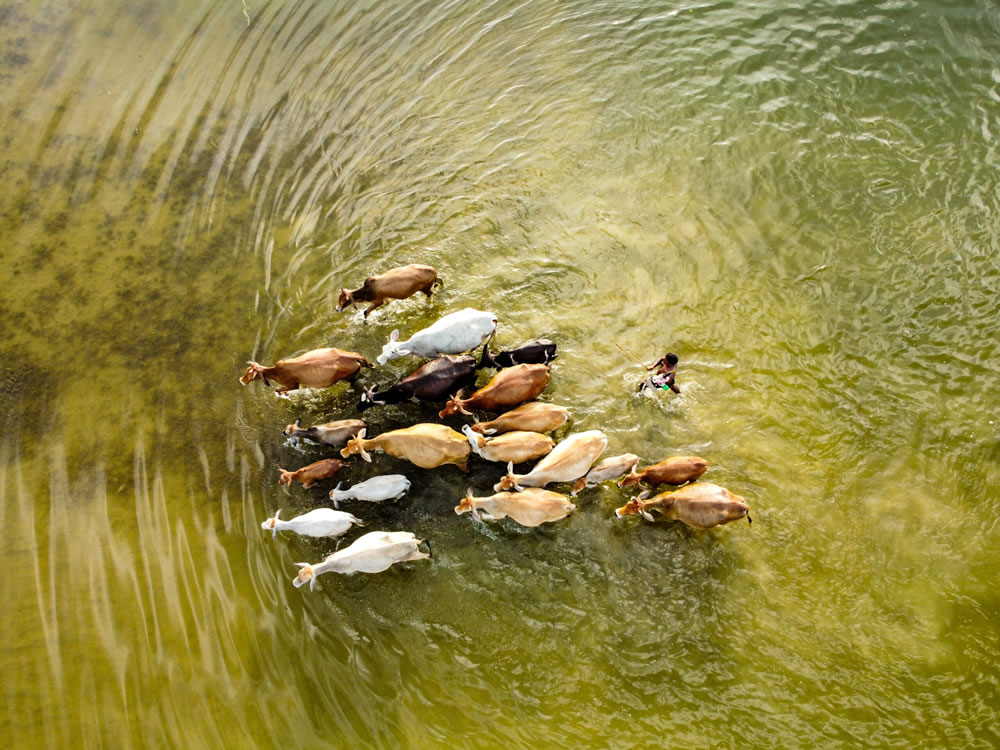 Environmental Photographer Of The Year 2023 Winners