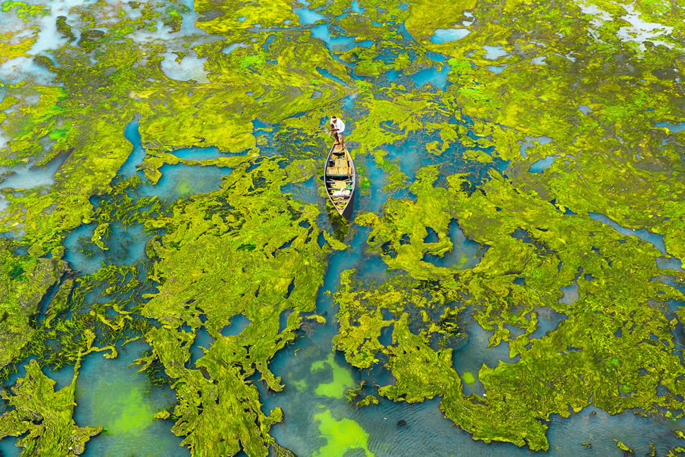 Environmental Photographer Of The Year 2023 Winners