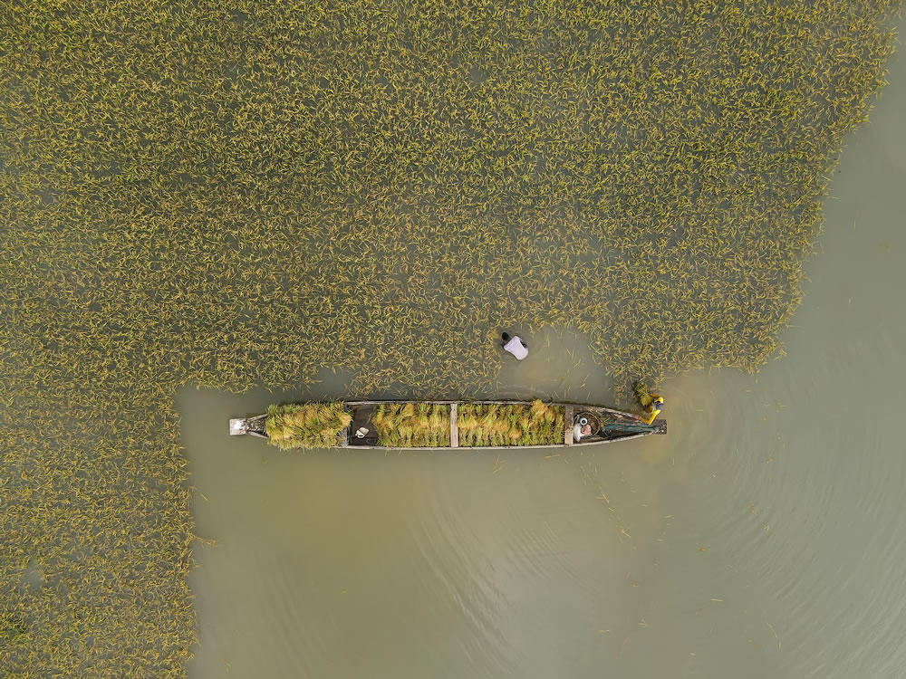 Environmental Photographer Of The Year 2023 Winners