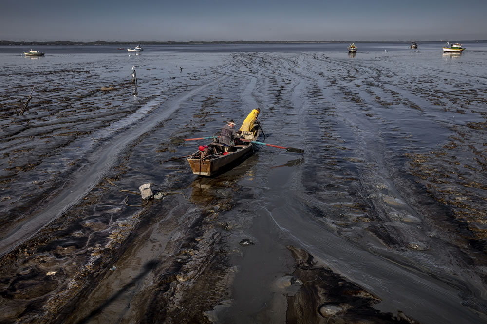 Environmental Photographer Of The Year 2023 Winners