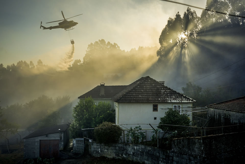 Environmental Photographer Of The Year 2023 Winners