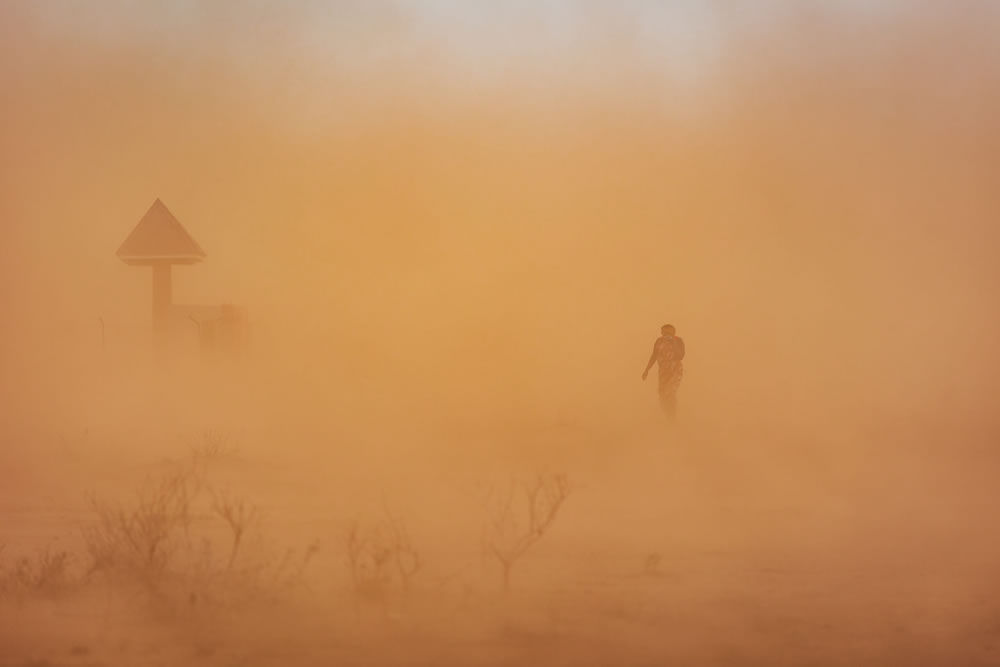 Environmental Photographer Of The Year 2023 Winners