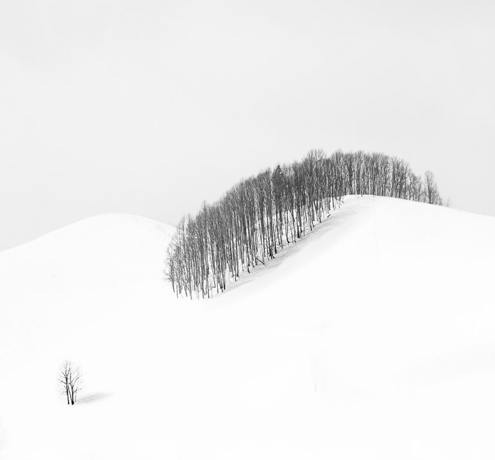 International Garden Photographer Of The Year 2023 Winners