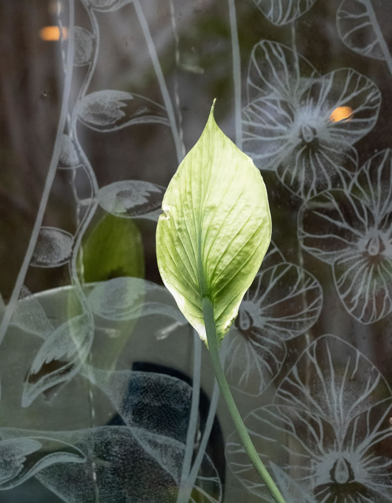 International Garden Photographer Of The Year 2023 Winners