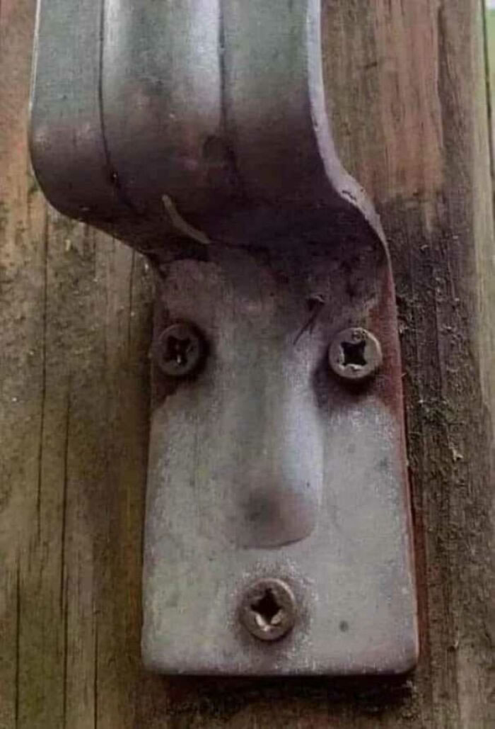 The Hidden Faces Around Us Everyday Pareidolia