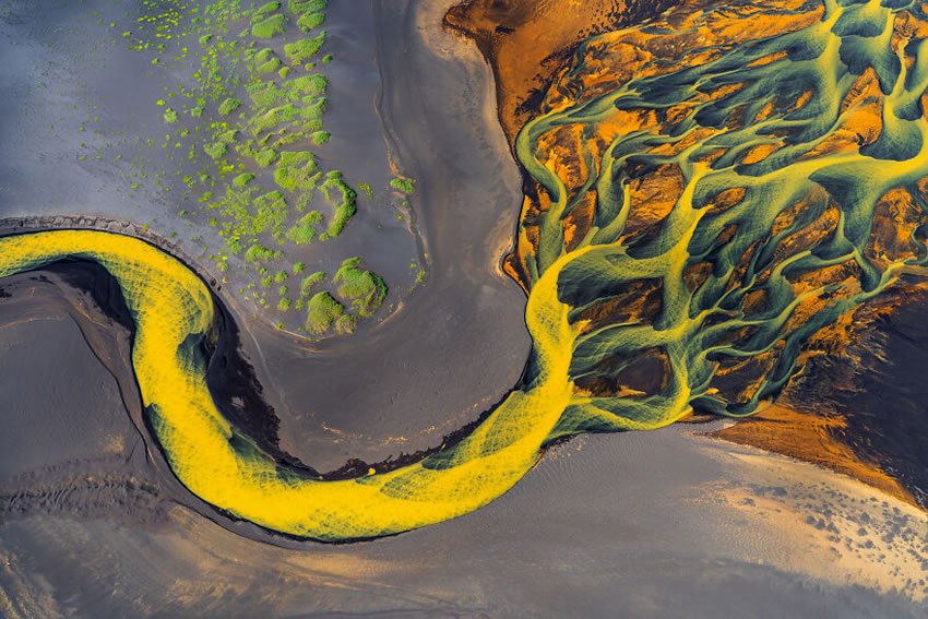 Nature Winning Photos Of International Photography Awards