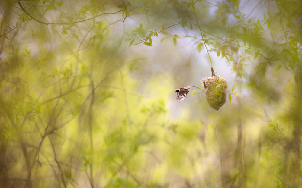 Nature Conservancy Awards 2023 Winners