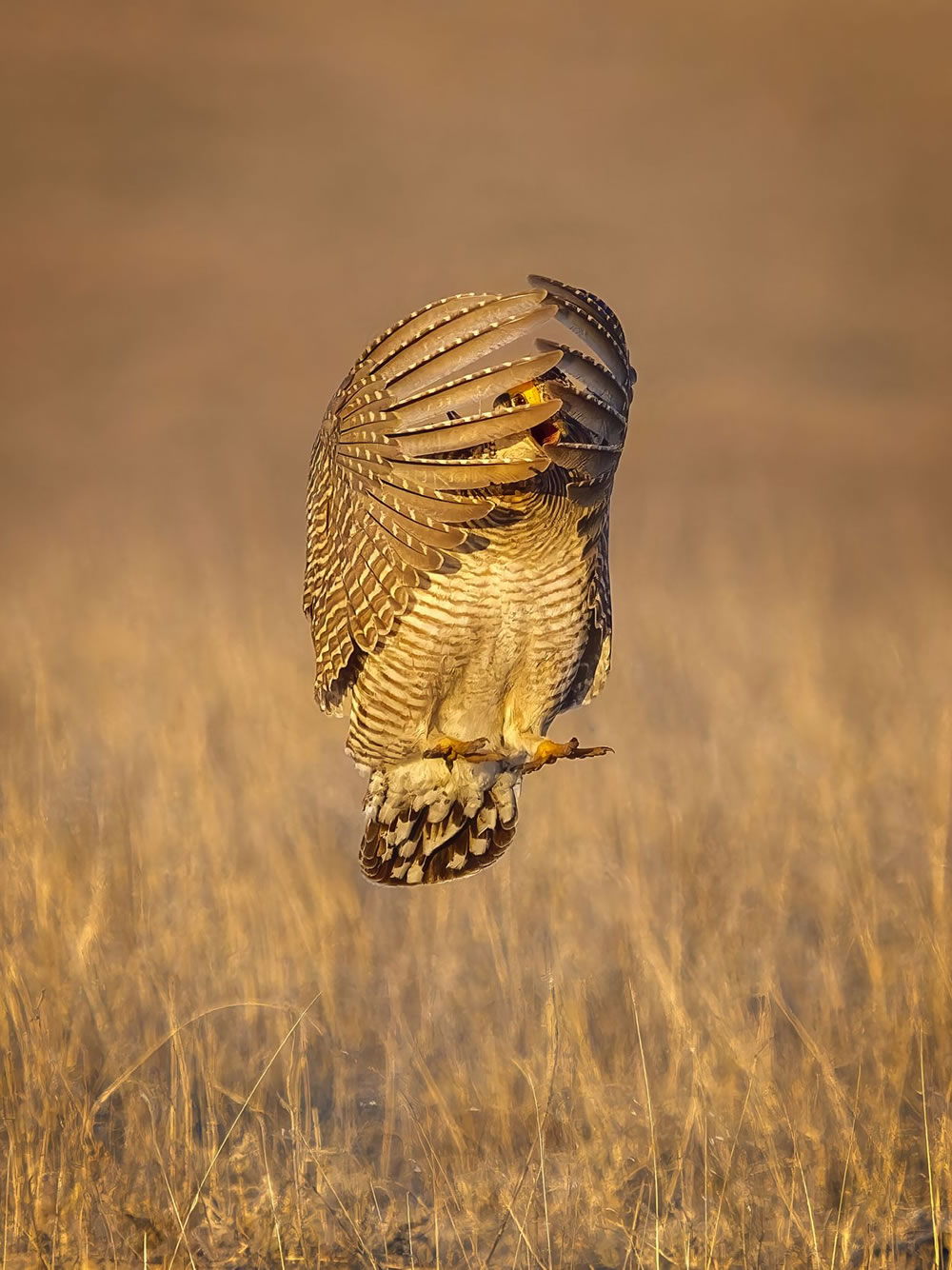 Nature Conservancy Awards 2023 Winners