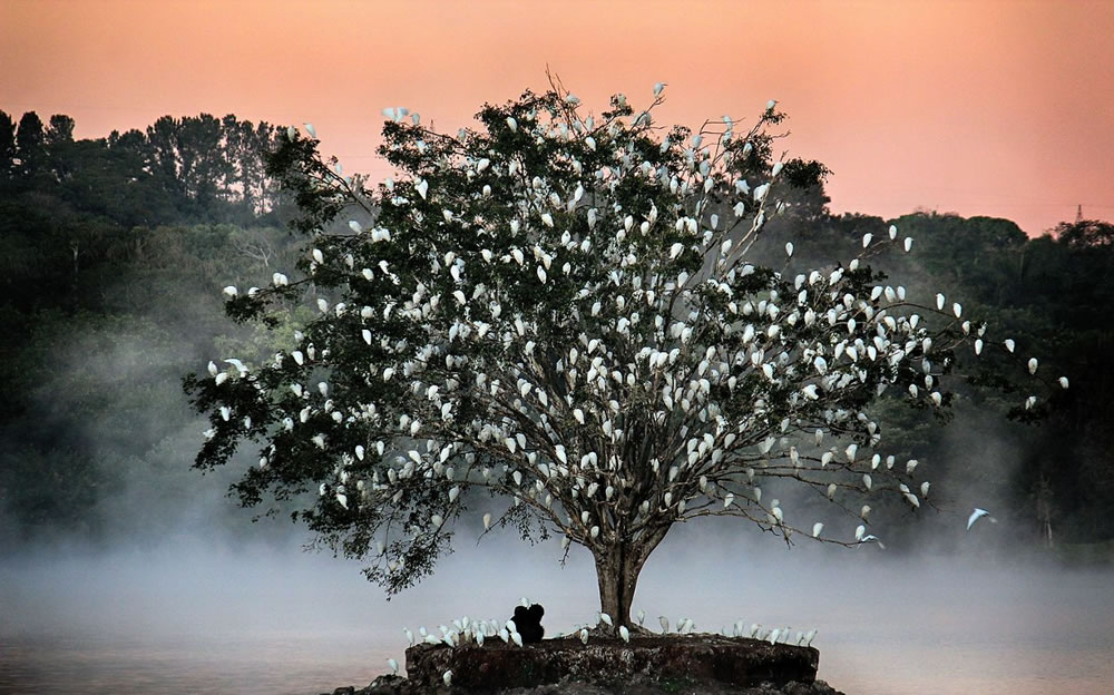 Nature Conservancy Awards 2023 Winners