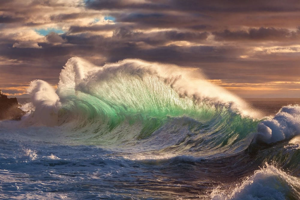 Nature Conservancy Awards 2023 Winners