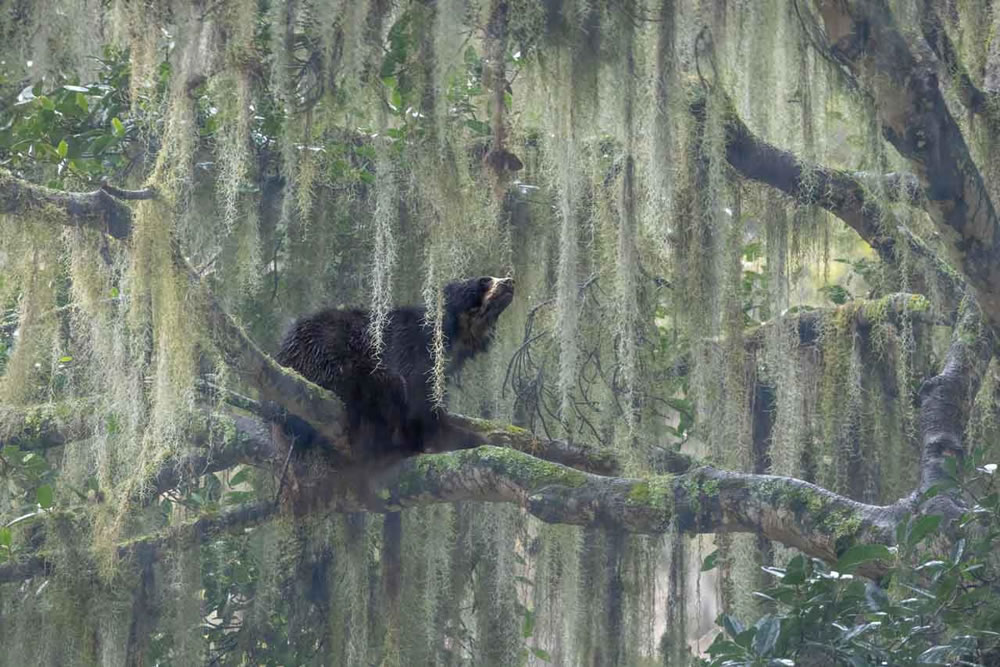 Nature Photographer Of The Year 2023 Winners