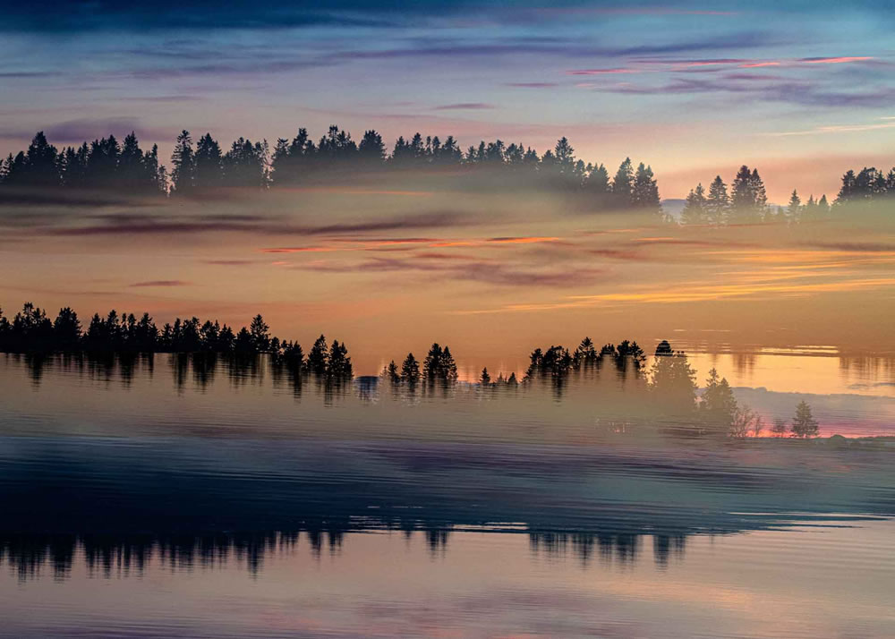 Nature Photographer Of The Year 2023 Winners