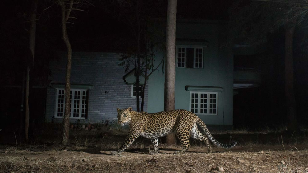 Nature Photographer Of The Year 2023 Winners