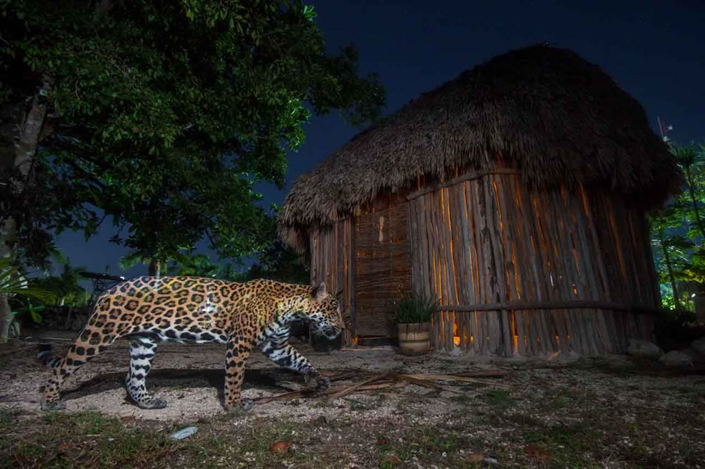 Nature Photographer Of The Year 2023 Winners