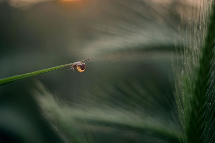 Nature Photos In Spring, Summer, And Autumn by Katarzyna Zaluzna