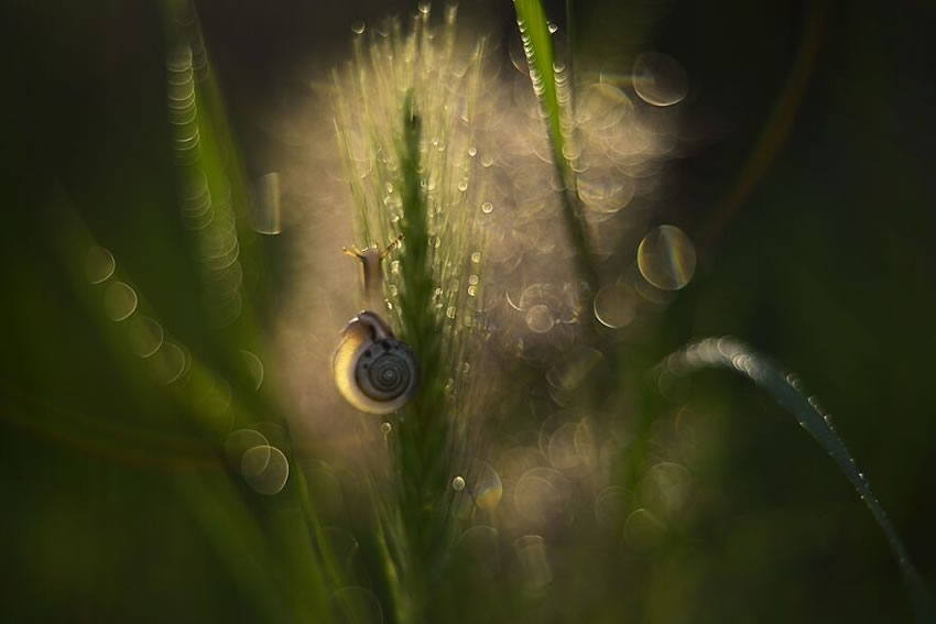 Nature Photos In Spring, Summer, And Autumn by Katarzyna Zaluzna