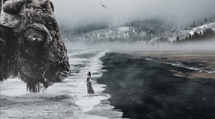 Surreal Composites by Ted Chin