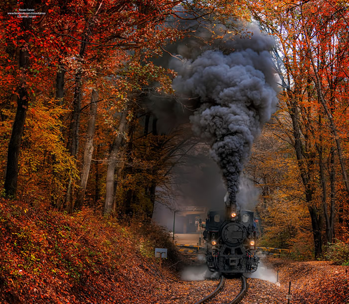 Tamas Rizsavi Beautiful Train Photographs In Exciting Places