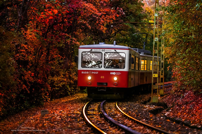 Tamas Rizsavi Beautiful Train Photographs In Exciting Places