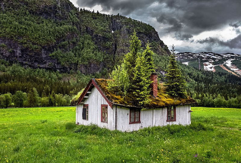 Beauty Of Abandoned Places