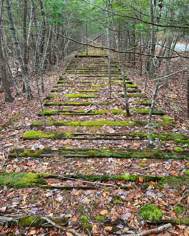 Beauty Of Abandoned Places