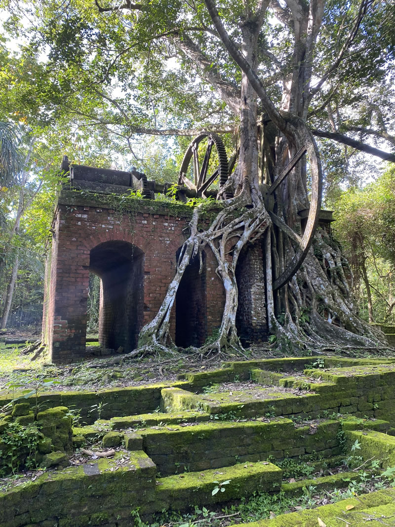 Beauty Of Abandoned Places