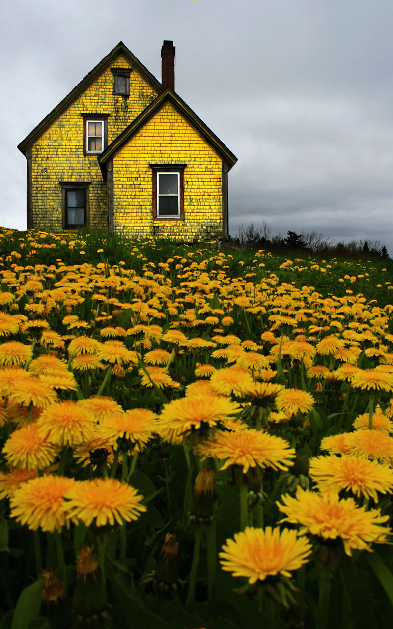 Beauty Of Abandoned Places