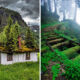 Captivating Abandoned Wonders Around The Globe