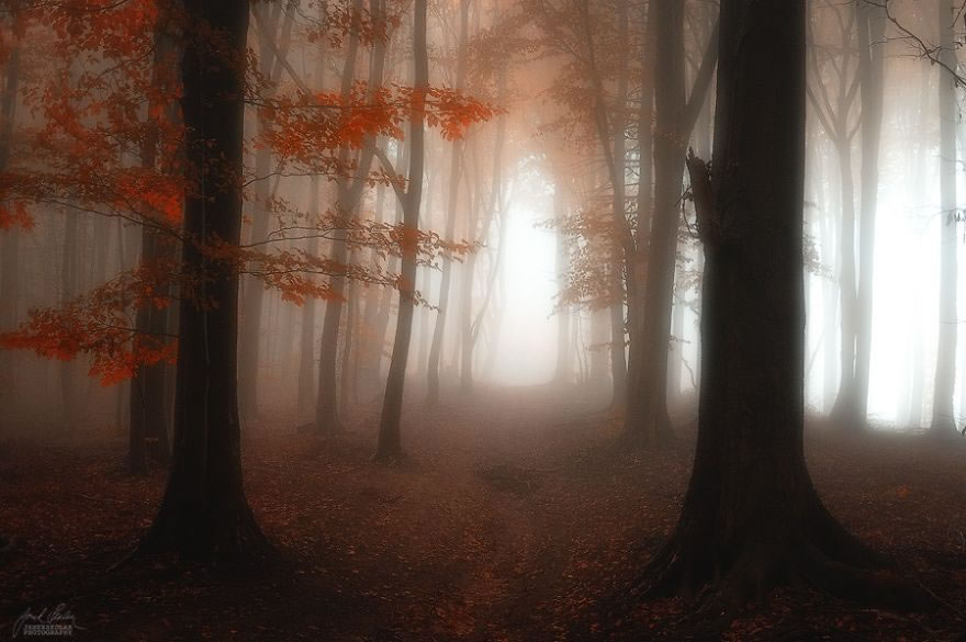 Beautiful Autumn Forests Of Czech Republic By Janek Sedlar