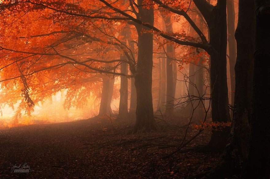 Beautiful Autumn Forests Of Czech Republic By Janek Sedlar