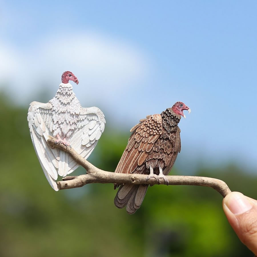 Beauty of Genetic Diversity by Nayan Shrimali