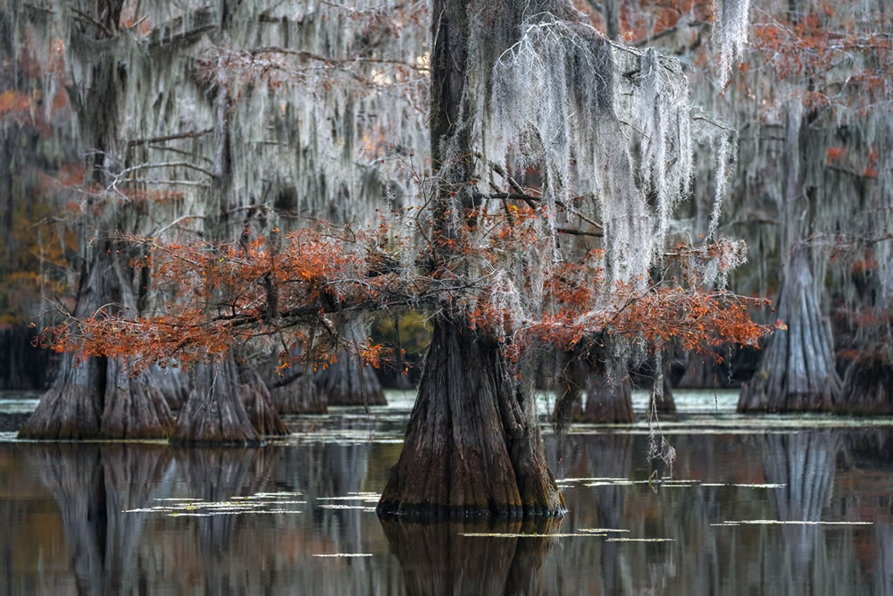 Chromatic Photography Awards Winners